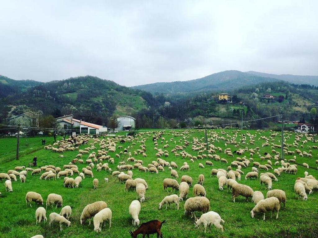 B&B Cascina Santa Gavi Eksteriør bilde