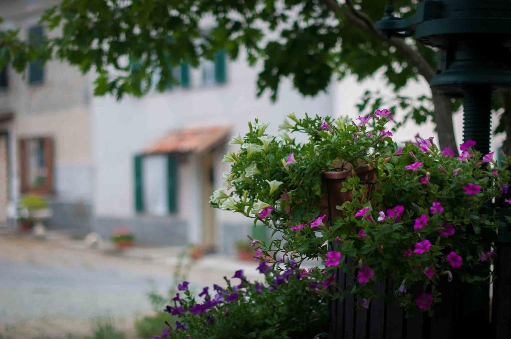 B&B Cascina Santa Gavi Eksteriør bilde
