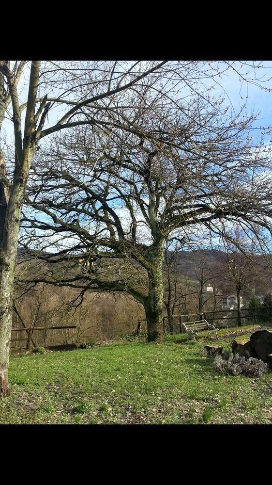 B&B Cascina Santa Gavi Eksteriør bilde